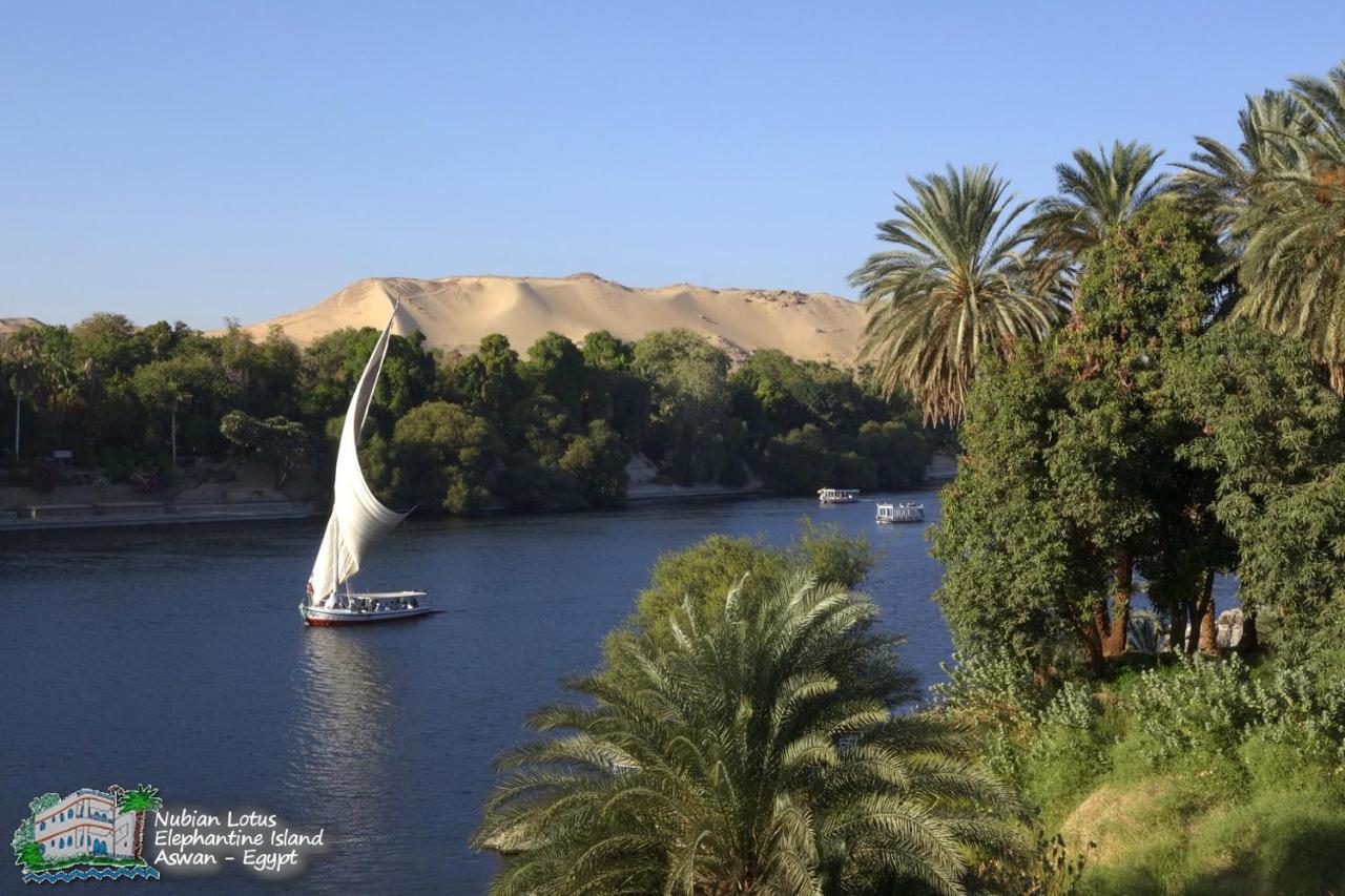 Nubian Lotus Bed & Breakfast Aswan Luaran gambar